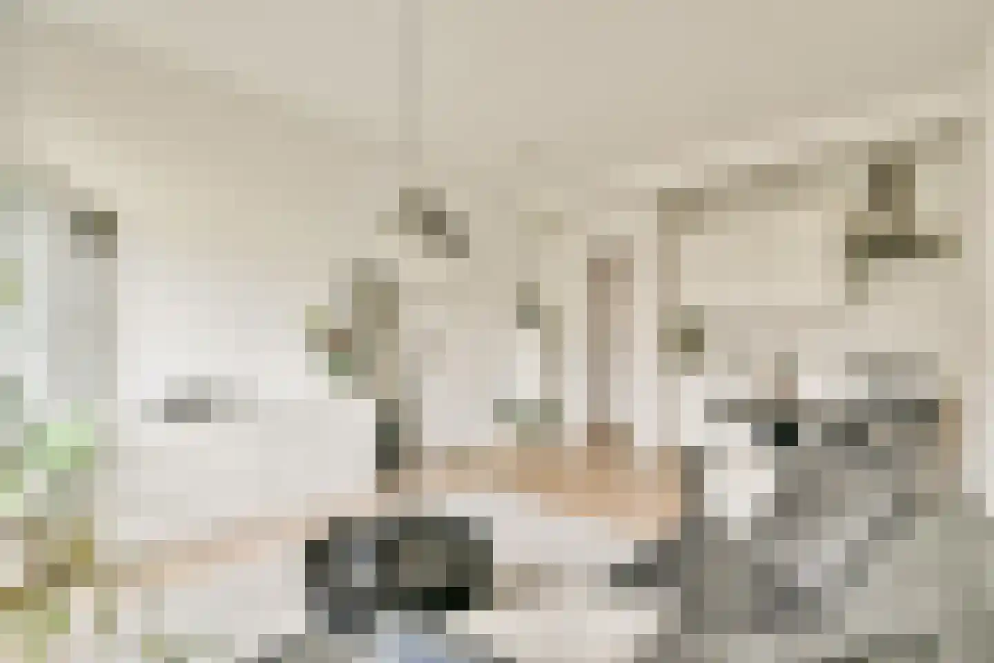 Javastraat 91 2 Amsterdam thumbnail 7
