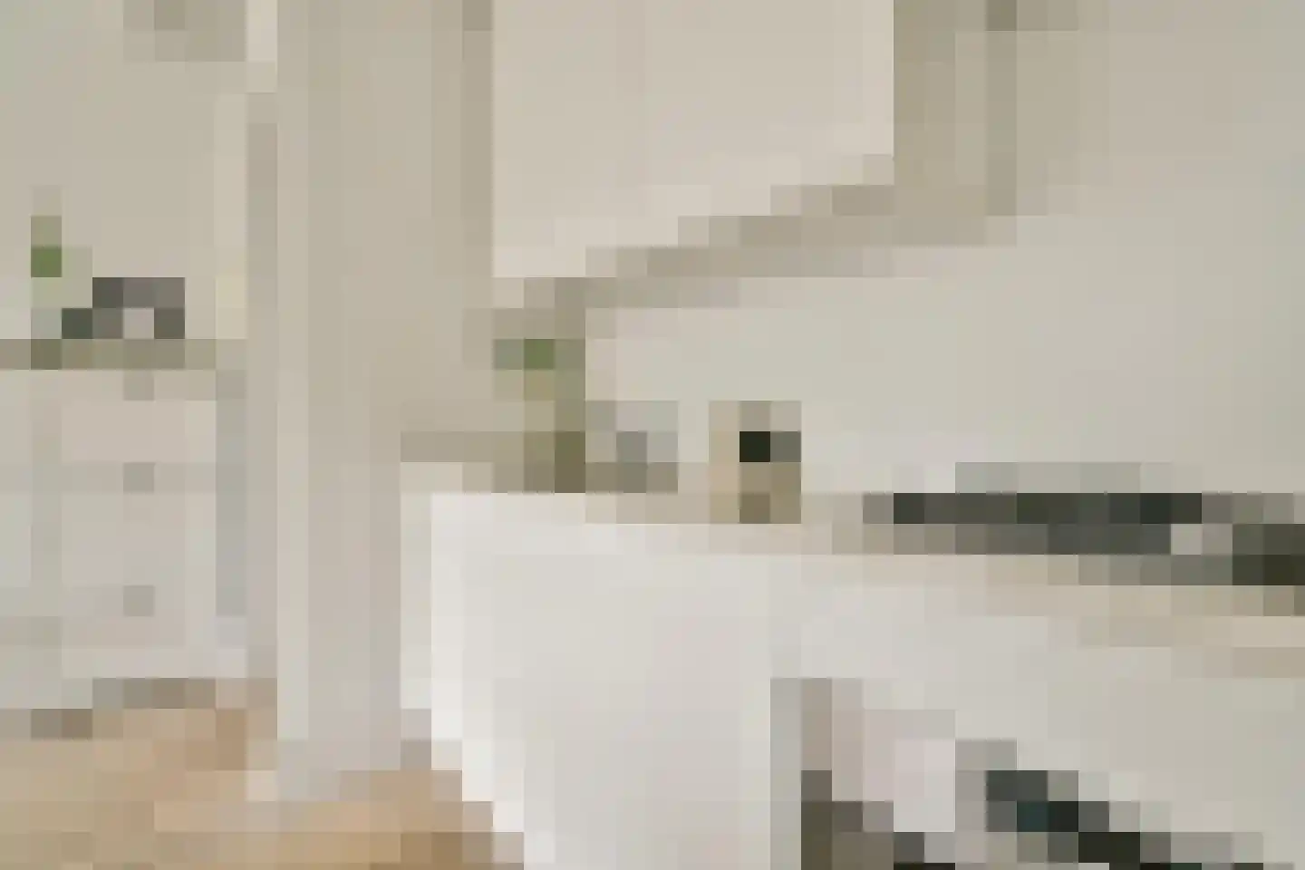 Javastraat 91 2 Amsterdam thumbnail 8