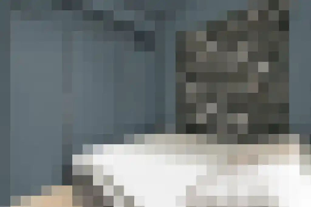 Javastraat 91 3 Amsterdam thumbnail 15