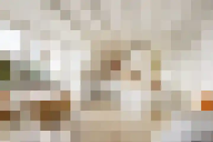Javastraat 98 1 Amsterdam thumbnail 12