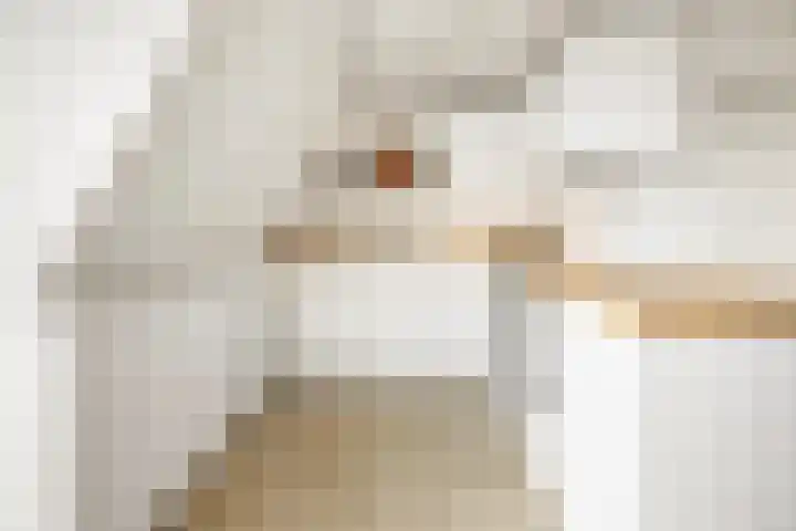 Javastraat 98 1 Amsterdam thumbnail 14