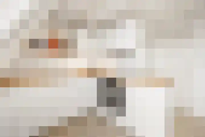 Javastraat 98 1 Amsterdam thumbnail 15