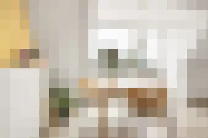 Javastraat 98 1 Amsterdam thumbnail 8