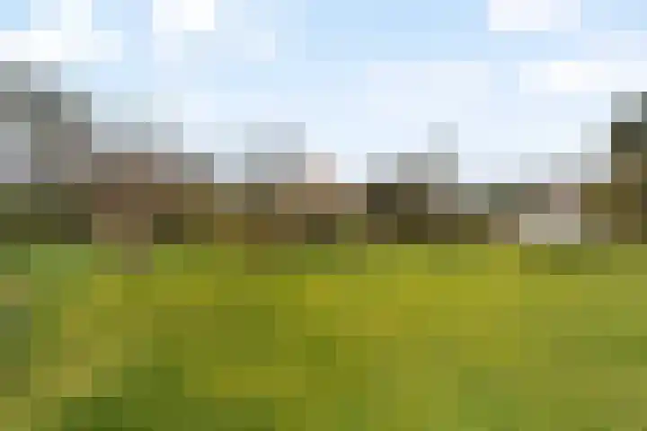 Javaweg 1 Noordwijk thumbnail 11