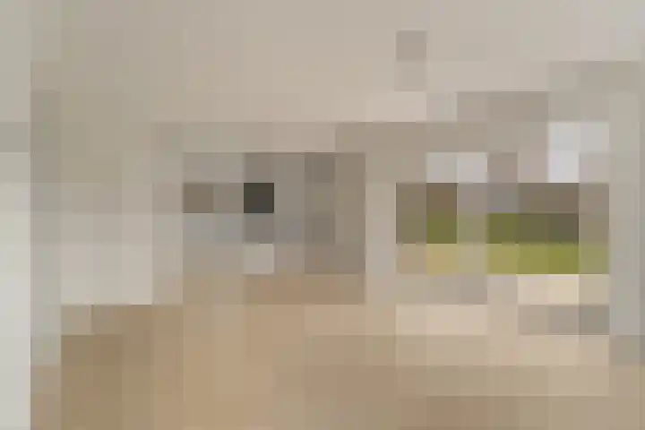 Javaweg 1 Noordwijk thumbnail 14