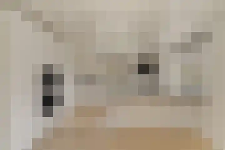Javaweg 1 Noordwijk thumbnail 15
