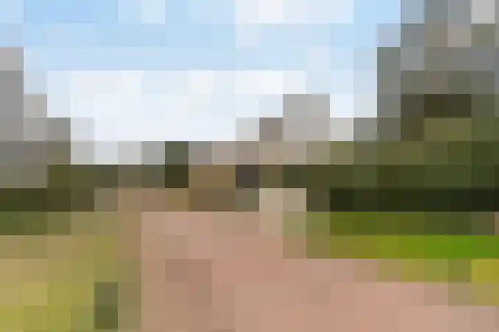 Javaweg 1 Noordwijk thumbnail 4