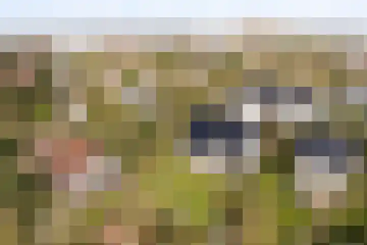 Javaweg 1 Noordwijk thumbnail 49