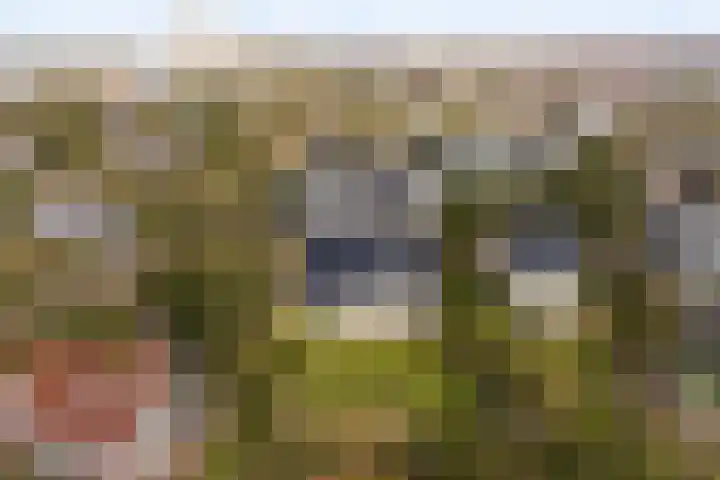 Javaweg 1 Noordwijk thumbnail 50