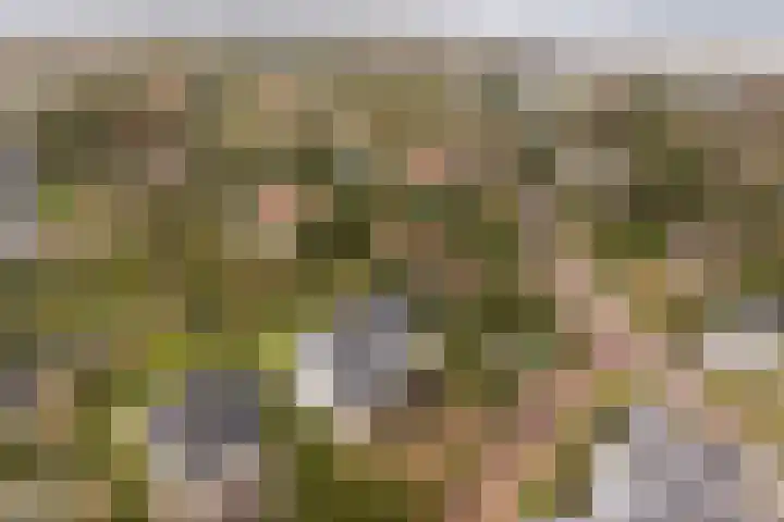 Javaweg 1 Noordwijk thumbnail 51