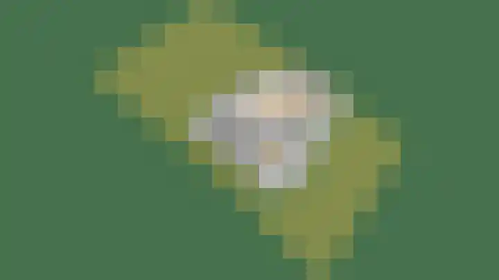 Javaweg 1 Noordwijk thumbnail 57