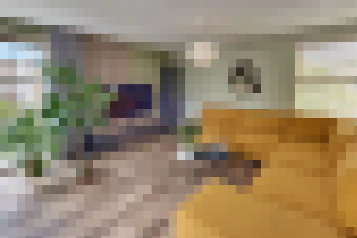 Jazzdreef 3 Harderwijk thumbnail 13