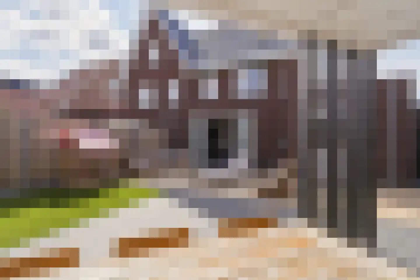 Jazzroute 134 Middelburg thumbnail 42