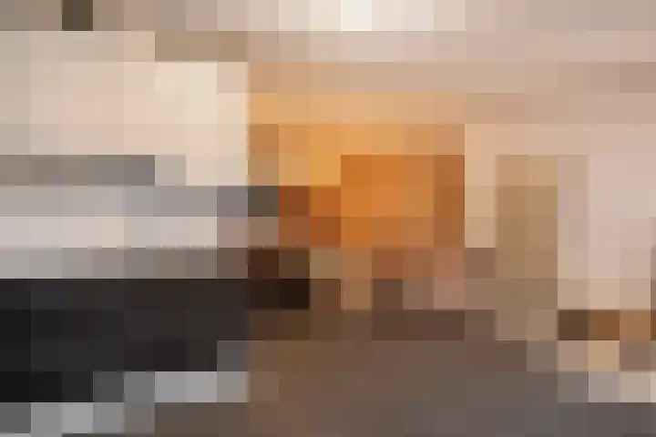 Jazzroute 78 Middelburg thumbnail 12