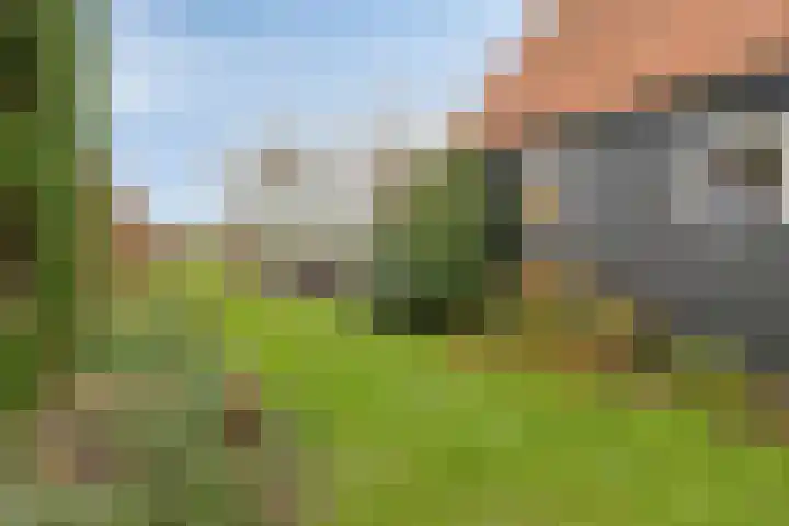 Jazzroute 78 Middelburg thumbnail 34