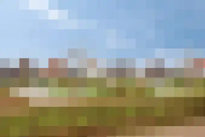 Jazzroute 78 Middelburg thumbnail 40