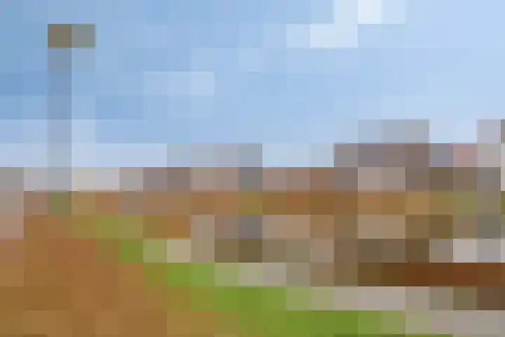 Jazzroute 78 Middelburg thumbnail 41
