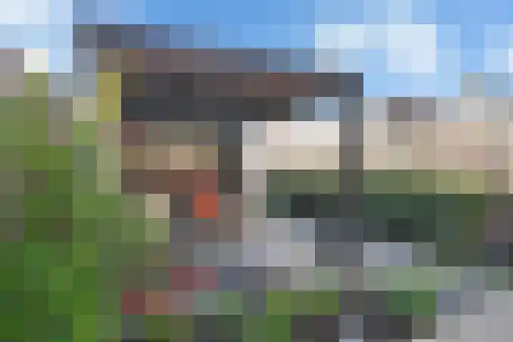 Jazzroute 85 Middelburg thumbnail 33