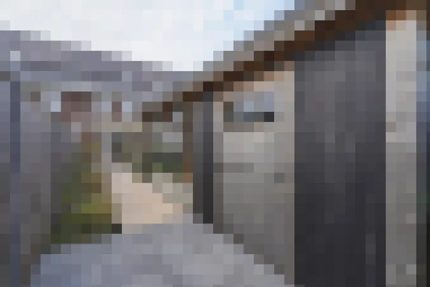 Jazzroute 87 Middelburg thumbnail 32