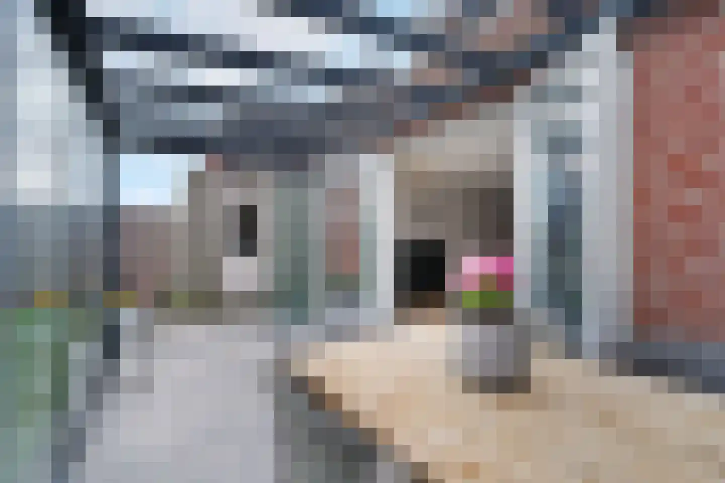 Jazzroute 98 Middelburg thumbnail 15