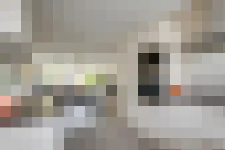 Jazzsingel 100 Utrecht thumbnail 11