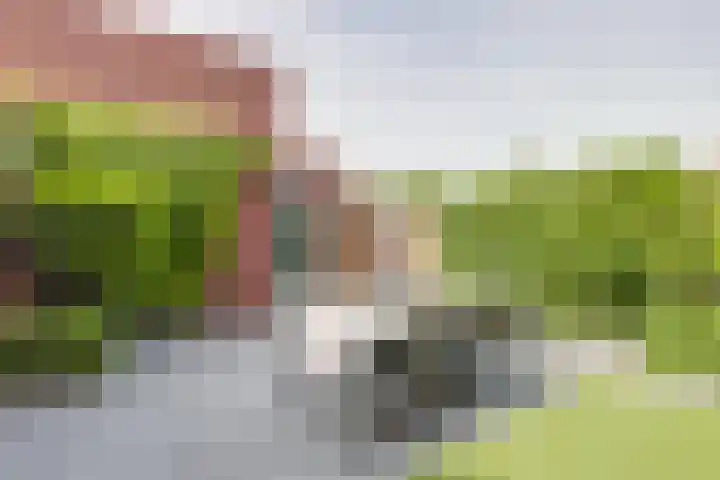 Jazzsingel 100 Utrecht thumbnail 29