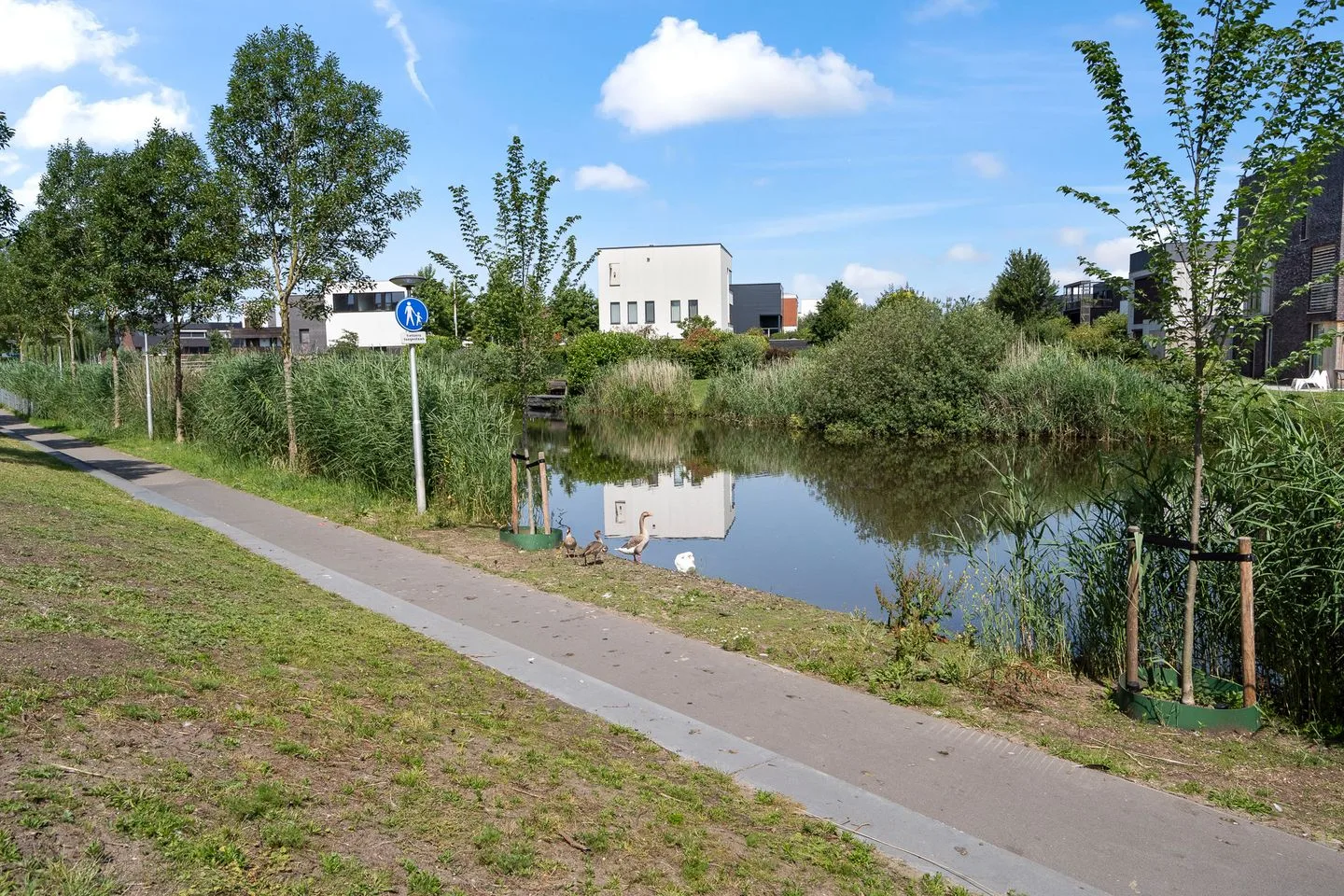 Jazzsingel 134 Utrecht thumbnail 53