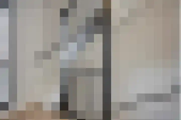 Jazzsingel 146 Utrecht thumbnail 23