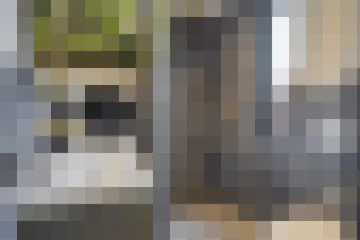 Jazzsingel 146 Utrecht thumbnail 26