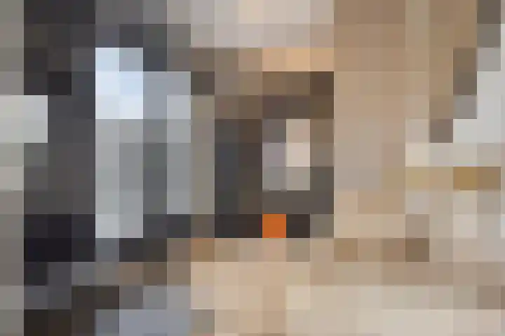 Jazzsingel 146 Utrecht thumbnail 35