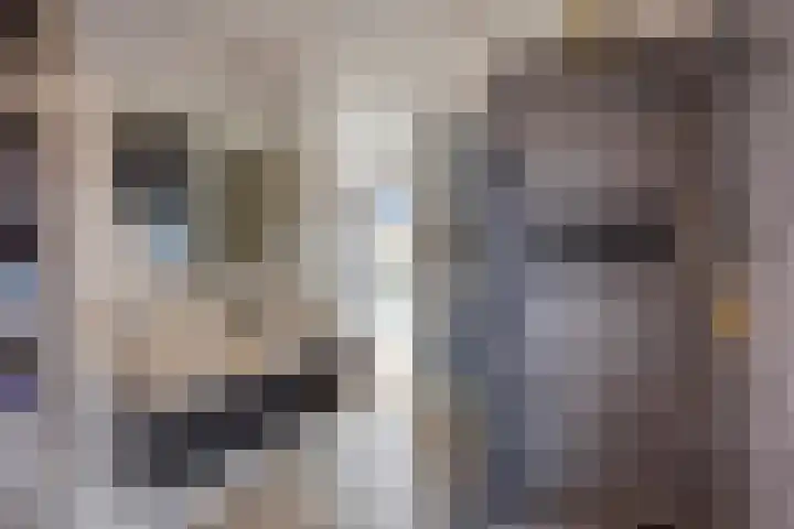 Jazzsingel 146 Utrecht thumbnail 5