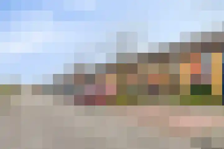 Jazzsingel 30 Terneuzen thumbnail 14