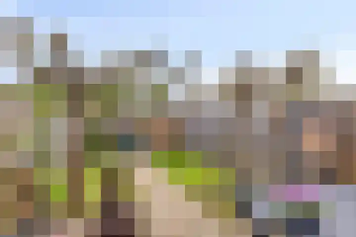 Jazzsingel 30 Terneuzen thumbnail 19