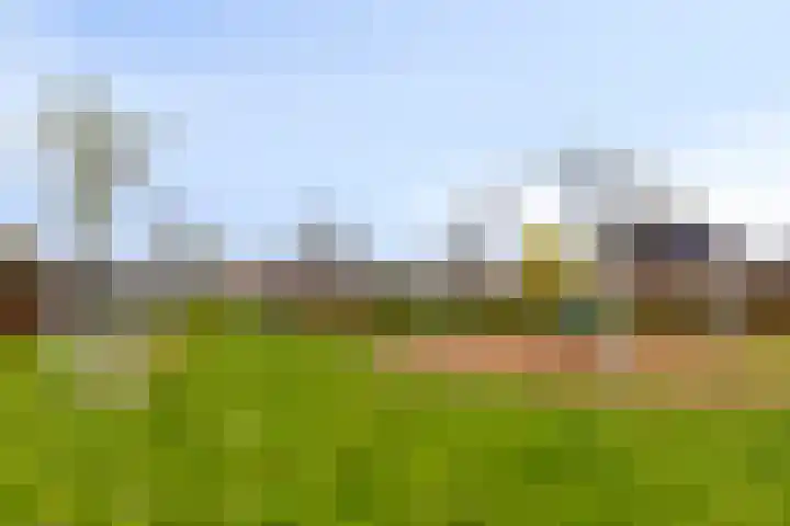 Jazzsingel 30 Terneuzen thumbnail 21