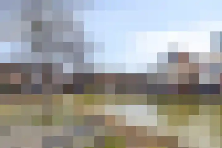 Jazzsingel 30 Terneuzen thumbnail 24