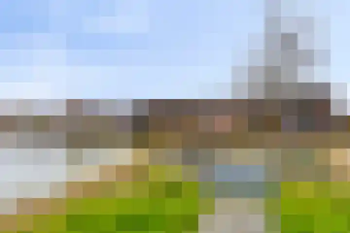 Jazzsingel 30 Terneuzen thumbnail 25