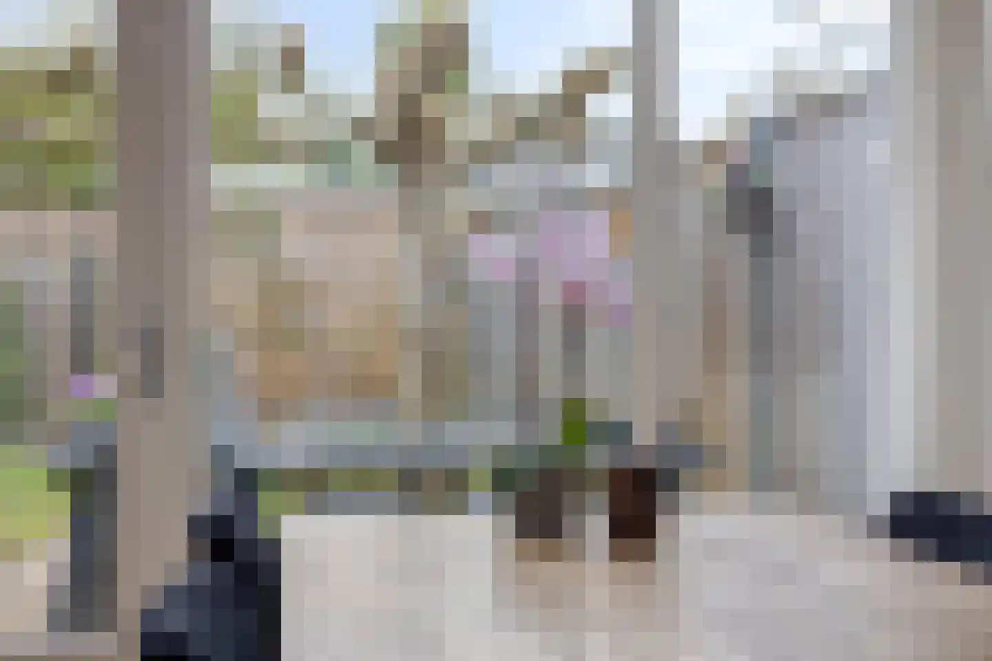 Jazzsingel 30 Terneuzen thumbnail 6