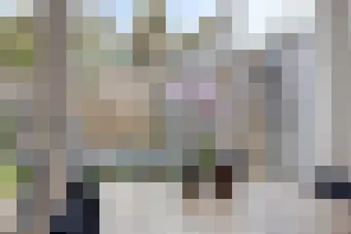 Jazzsingel 30 Terneuzen thumbnail 6