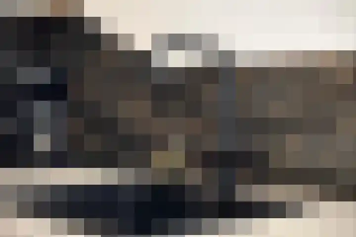 Jazzsingel 30 Terneuzen thumbnail 9