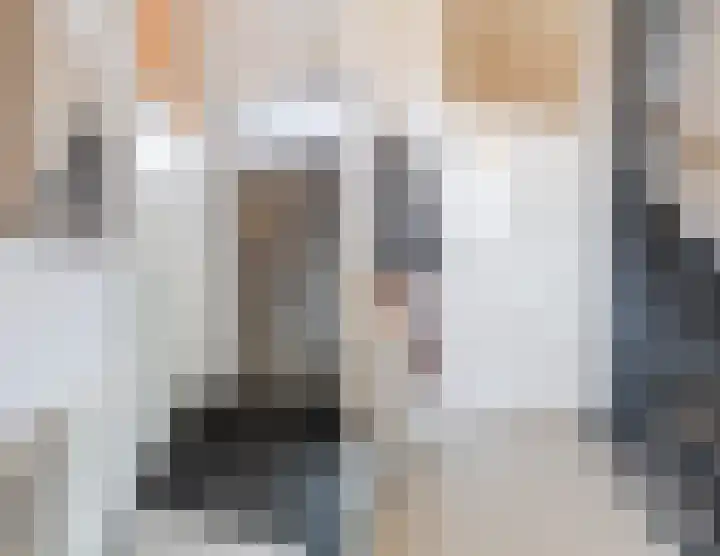 Jazzsingel 5 Utrecht thumbnail 5
