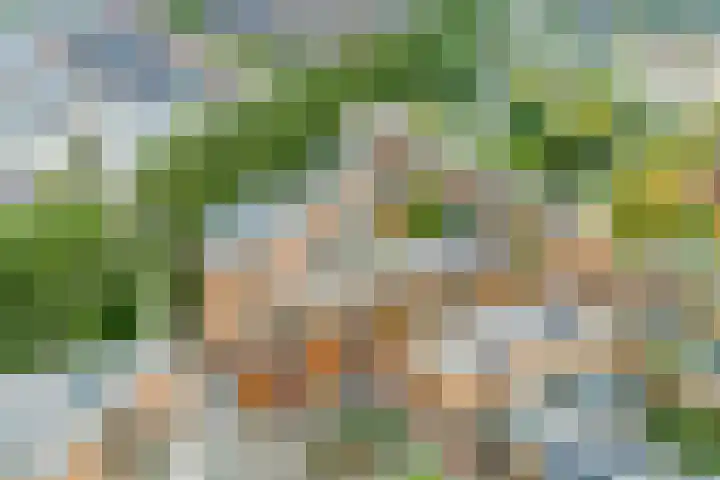 Jazzsingel 5 Utrecht thumbnail 77