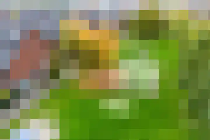 Jazzsingel 5 Utrecht thumbnail 81