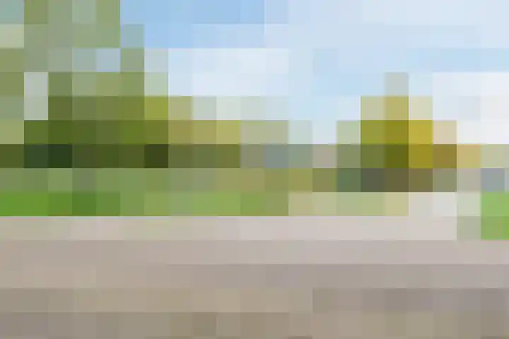 Jazzsingel 5 Utrecht thumbnail 83