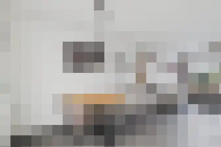 Jazzsingel 6 Terneuzen thumbnail 14