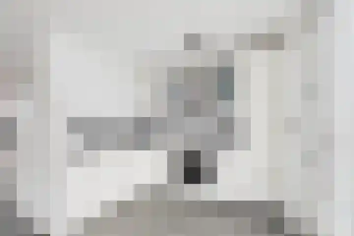 Jazzsingel 6 Terneuzen thumbnail 15