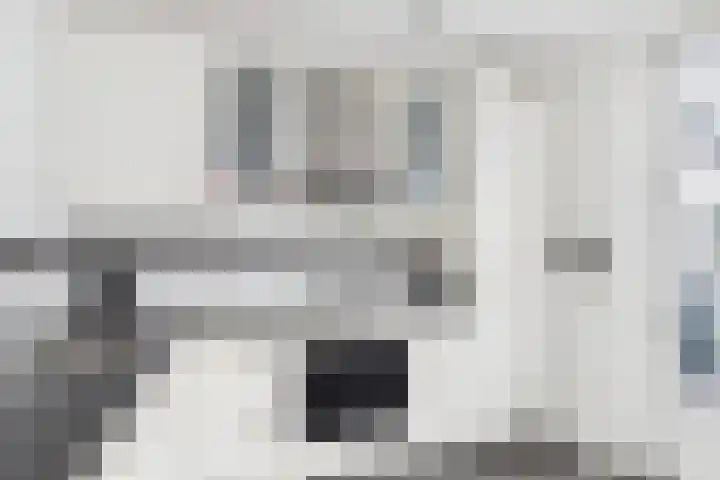 Jazzsingel 6 Terneuzen thumbnail 17