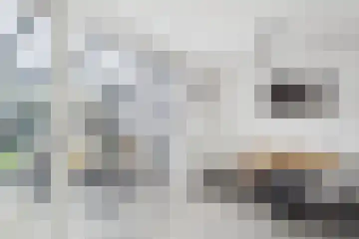 Jazzsingel 6 Terneuzen thumbnail 18