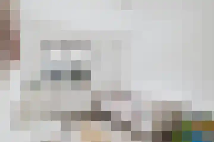 Jazzsingel 6 Terneuzen thumbnail 25