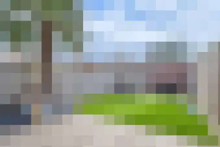 Jazzsingel 6 Terneuzen thumbnail 37
