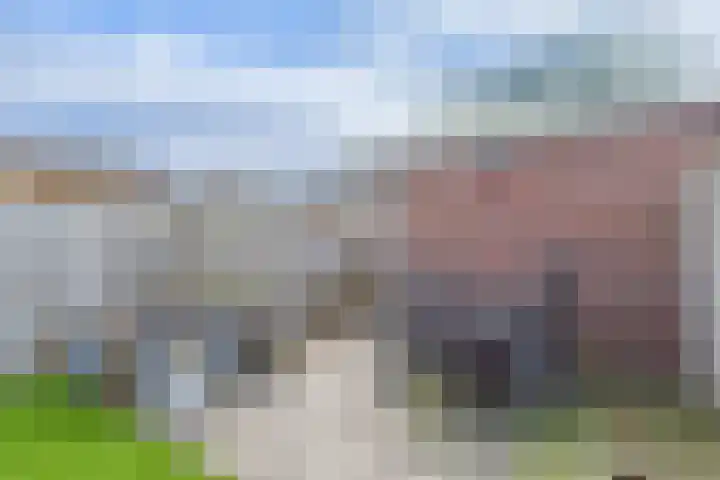 Jazzsingel 6 Terneuzen thumbnail 38